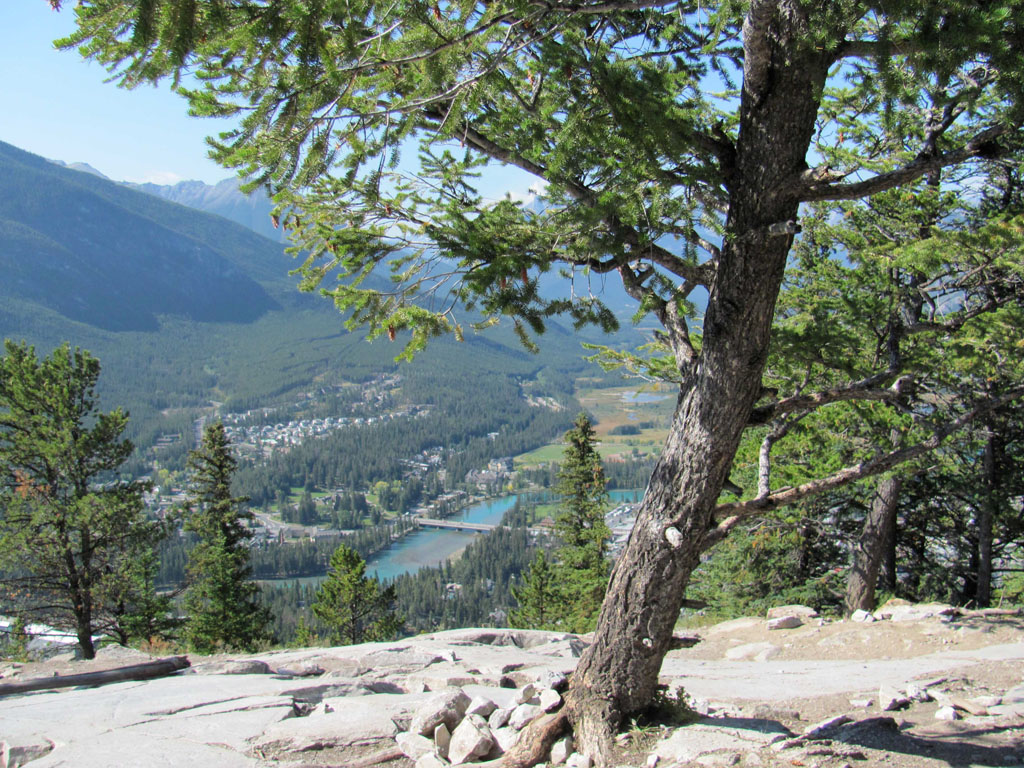 Banff Centre Frenzy and Tunnel Mountain